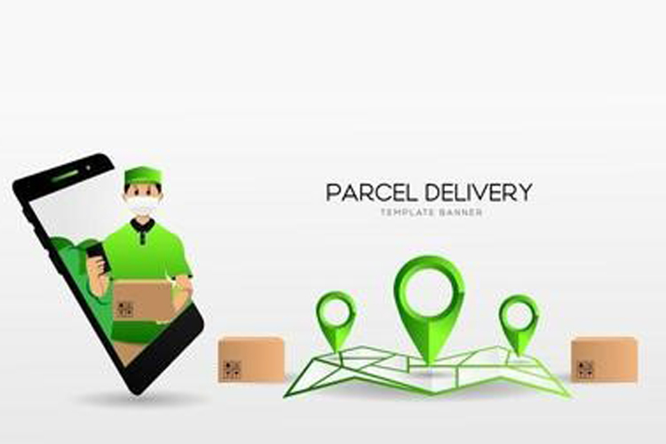 Domestic Parcel